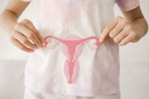 Kinderhände halten Modell der weiblichen Fortpflanzungsorgane, symbolisiert Kinder- und Jugendgynäkologie.