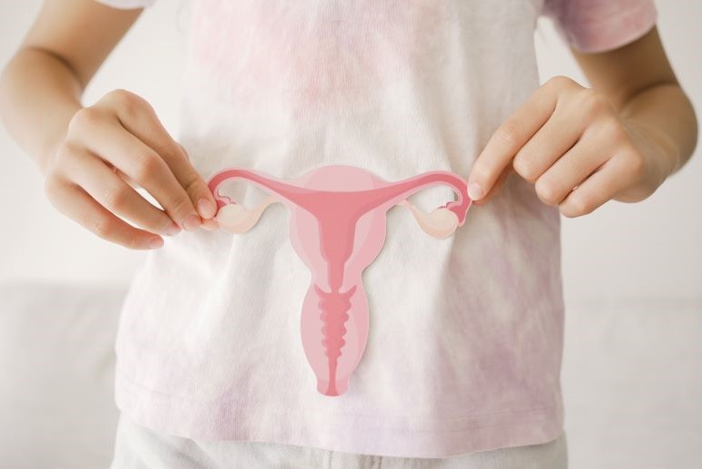 Kinderhände halten Modell der weiblichen Fortpflanzungsorgane, symbolisiert Kinder- und Jugendgynäkologie.