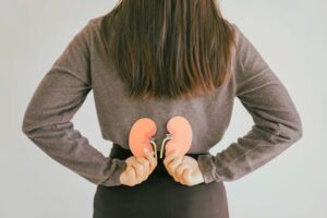 Frau hält Nierenmodell am Rücken, Fokus auf Östrogene und Nierengesundheit.