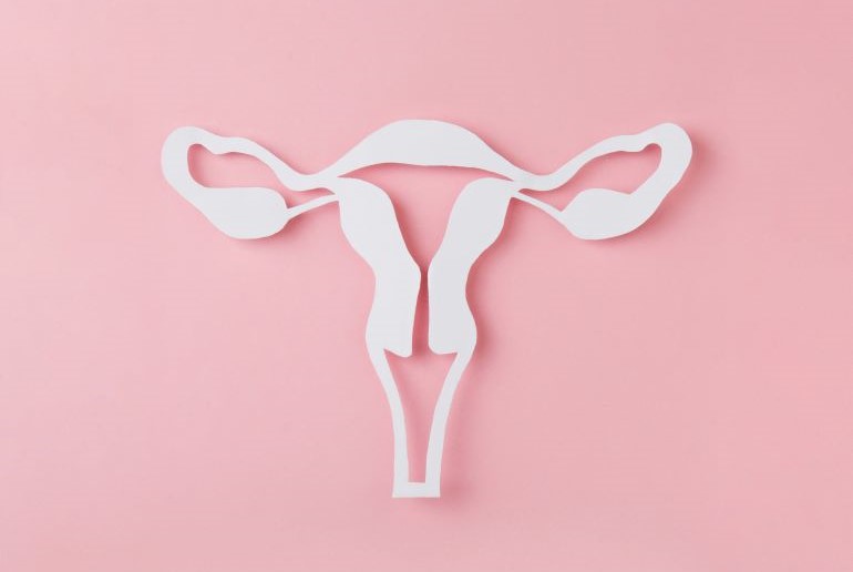 Stilisierter Uterus verweist auf Uteruskarzinom Risiko, rosa Hintergrund.