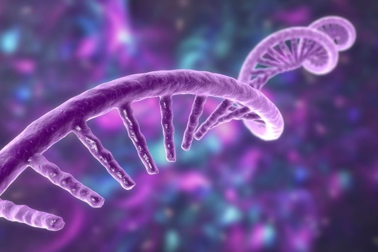 mRNA in Spiralstruktur, symbolisch für mRNA‑Stabilität und Eizelle im Pausenzustand.