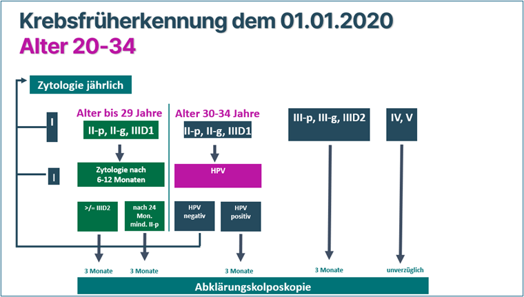 Abb. 1: Screeningalgorithmus zur Krebsfrüherkennung im Alter von 20–34 Jahren: Beim zytologiebasierten jährlichen Screening
werden je nach Befund (u. a. PAP-Gruppe, HPV-Status) Nachkontrollen, Wiederholungsabstriche oder eine Abklärungskolposkopie
zur frühzeitigen Erkennung auffälliger Veränderungen empfohlen.