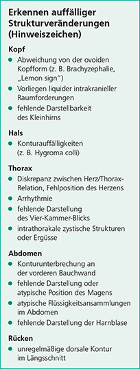 Abb. 2: Umfang der systematischen
Untersuchung der fetalen Morphologie
im Ultraschall-Screening IIb.