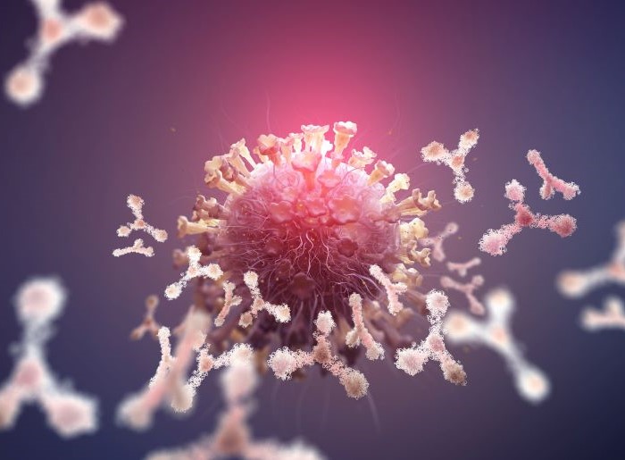 Illustration eines Virus mit Antikörpern, die es angreifen, vor einem violetten Hintergrund.