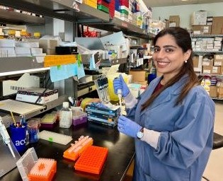 Dr. Rabia Anwar im Labor.
© Mariam Parashos